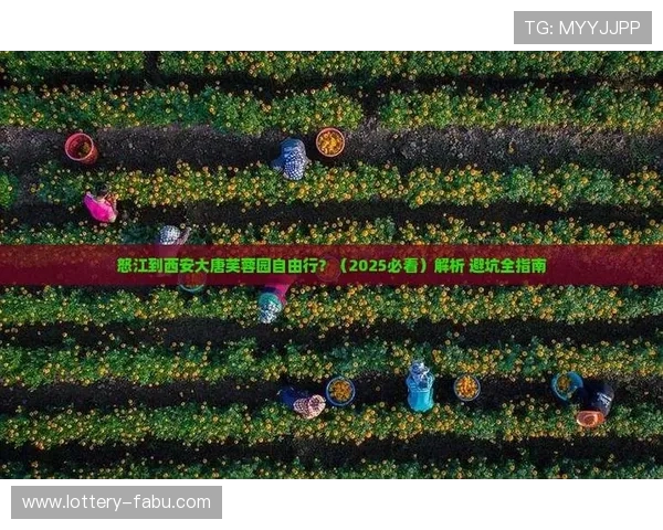 玩球TV彩票数字高频玩法防骗避坑指南